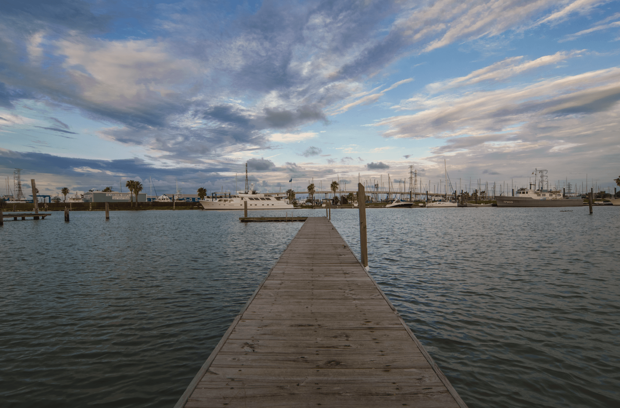 Screen Shot 2020-11-30 at 11.43.04 AM