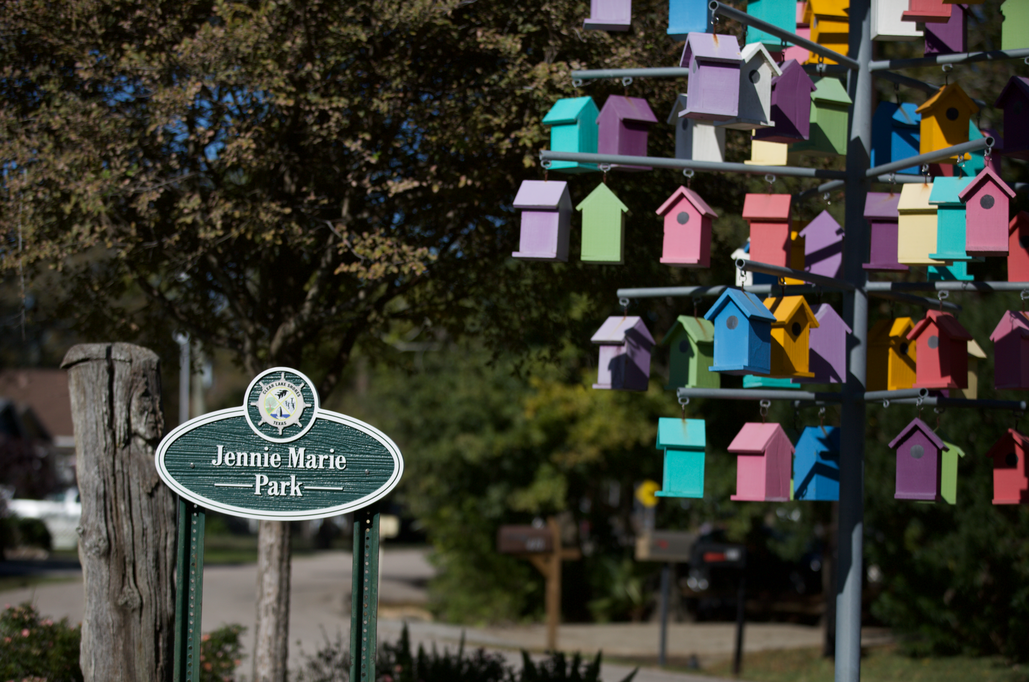 Screen Shot 2020-11-30 at 1.56.39 PM