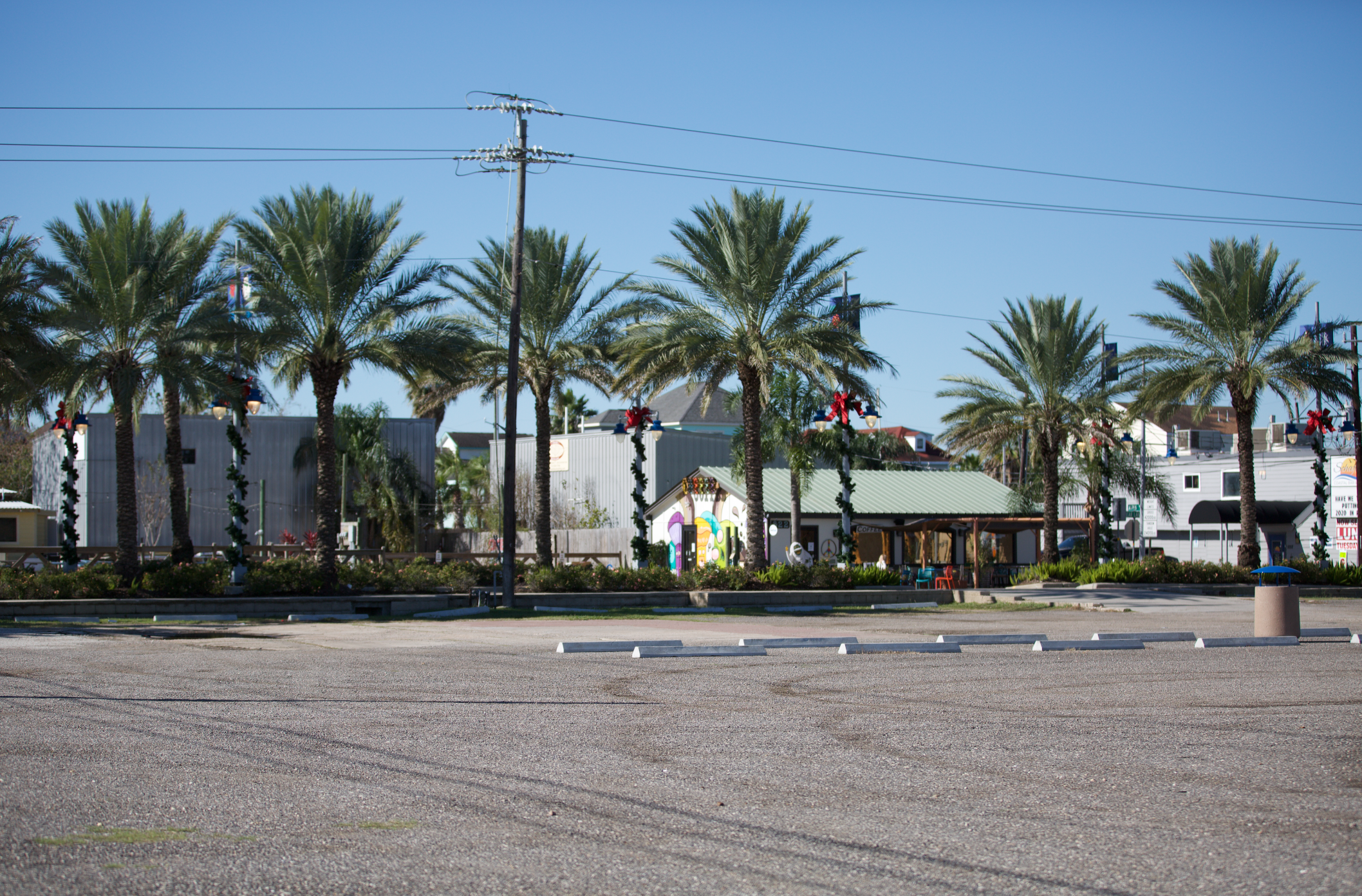 Screen Shot 2020-11-30 at 1.57.09 PM