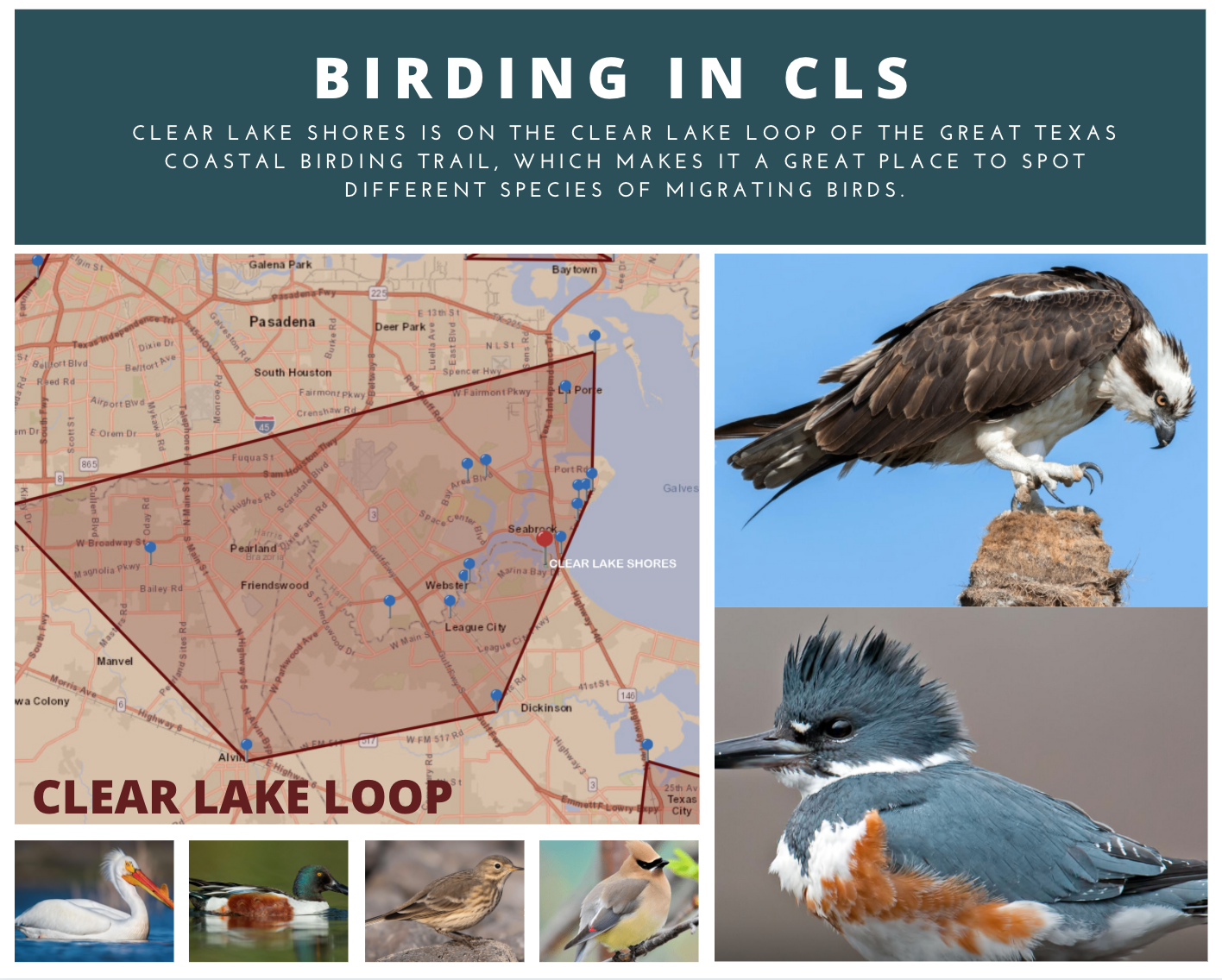 Screen Shot 2021-11-15 at 7.49.24 AM