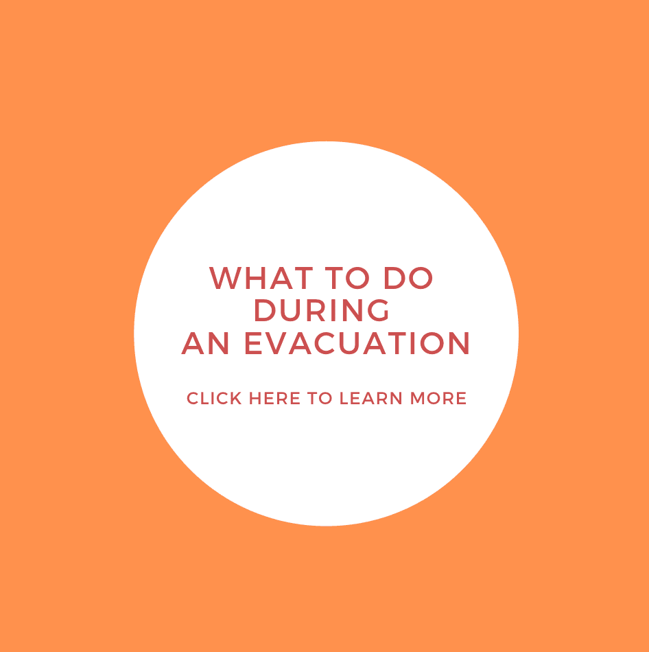 Screen Shot 2020-05-28 at 9.45.41 AM